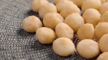 Kabuklu macadamia fındıklarını yemeye hazır. Döndürme
