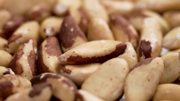 Nutritious Dried Brazil Nuts Macro Shot Rotation — Stock Video