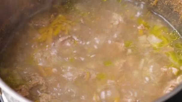 Cooking Beef Broth Saucepan Boiling Water Closeup Seasonings Vegetables — Stock Video