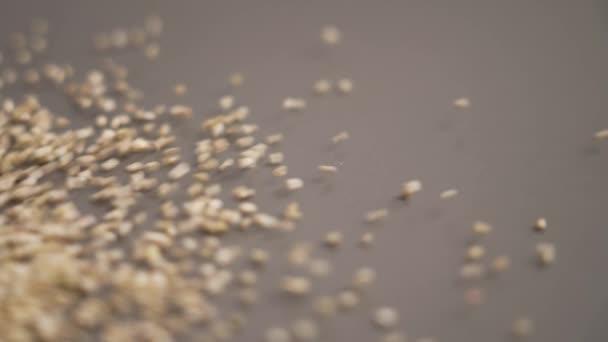 Uncooked Quinoa Seeds Scattering Slow Motion Close — Stock Video