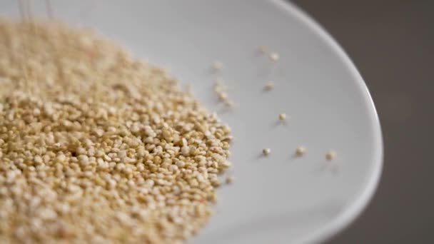 Grãos Quinoa Brancos Crus Caindo Uma Placa Cerâmica Câmera Lenta — Vídeo de Stock