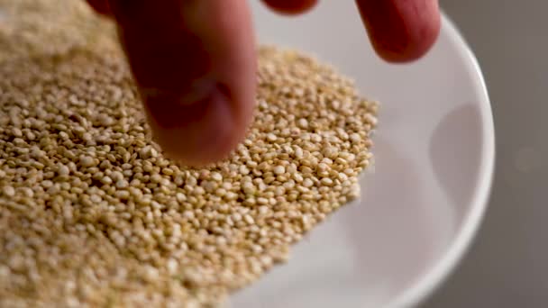 Cook Mão Leva Uma Pitada Sementes Quinoa Cruas Uma Placa — Vídeo de Stock