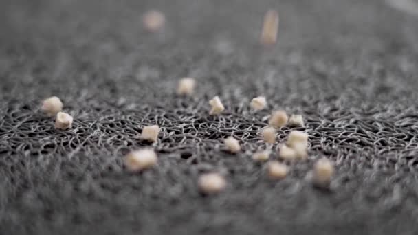 Biológiailag Lebomló Környezetbarát Macskaalom Részecskék Hullnak Egy Gumimatracra Lassított Felvételen — Stock videók