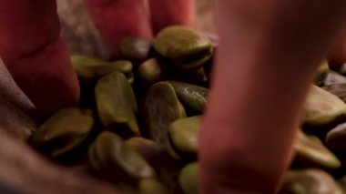 Şefin eli kurutulmamış vejetaryen fasulyesini alır.