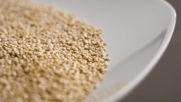 White Raw Quinoa Grains Ceramic Plate Close Gluten Free Seeds — Stock Video