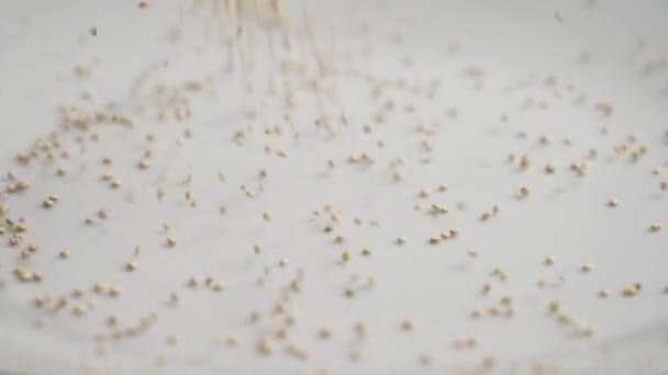 Witte Rauwe Quinoa Korrels Vallen Slow Motion Keramische Oppervlak Close — Stockvideo