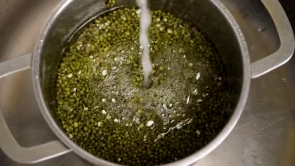 Cocinar Frijoles Mung Vertiendo Agua Una Sartén Acero Con Granos — Vídeo de stock
