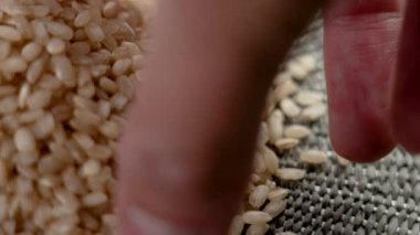 Bir şef bir tutam pişmemiş pirinçle yakından ilgilenir. Yavaş çekimde düşen organik taneler