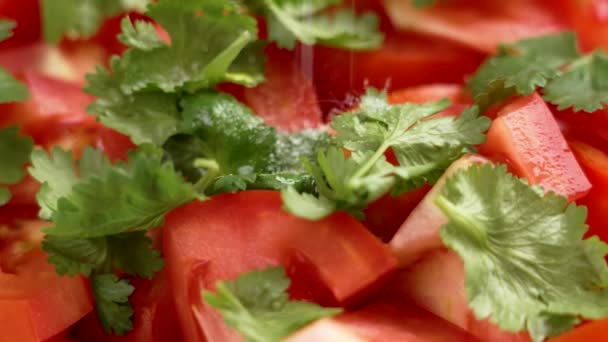 Polvilhe Cristais Sal Uma Salada Legumes Com Tomates Vermelhos Maduros — Vídeo de Stock