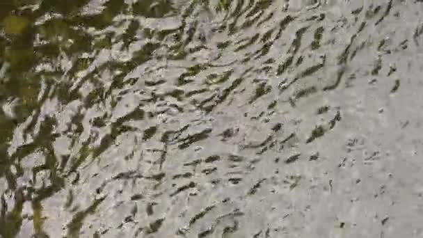 Pohybující Zvlněná Voda Řeky Kamenitým Dnem Rychlým Proudem Zblízka — Stock video