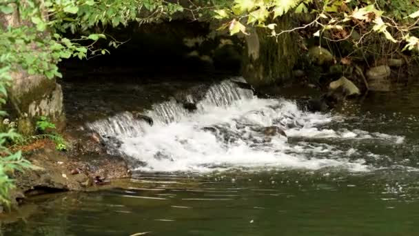 Canal Riego Natural Piedra Con Agua Corriente Río Montaña Naturaleza — Vídeo de stock