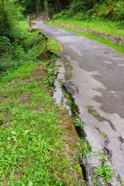 Toprak kaymasından sonra yol kenarını tahrip etti.