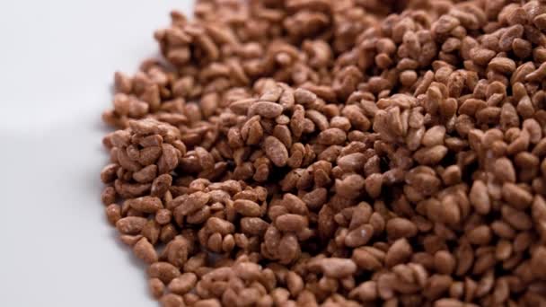 Granen Cacao Crunch Chocolade Vlokken Een Witte Keramische Schotel Close — Stockvideo