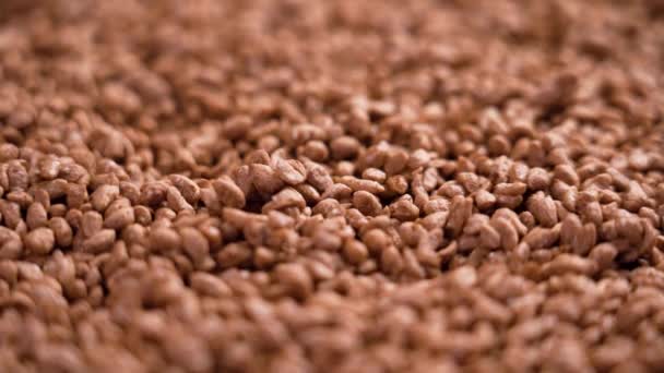 Dolci Croccanti Fiocchi Cereali Cioccolato Mais Che Cadono Rallentatore Vicino — Video Stock