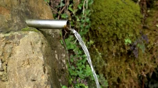 Água Nascente Pura Que Flui Tubo Reserva Natural Montanha Selvagem — Vídeo de Stock