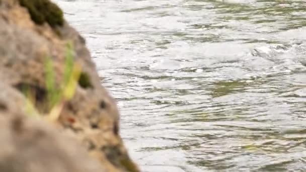 Ποταμός Πέτρες Ρευστότητα Του Φυσικού Νερού Κατά Την Πεζοπορία Στην — Αρχείο Βίντεο