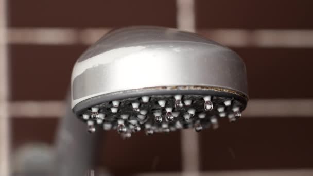 Prysznic Kapiąca Woda Powodu Niedoboru Wody Pokoju Hotelowym Zbliżenie — Wideo stockowe