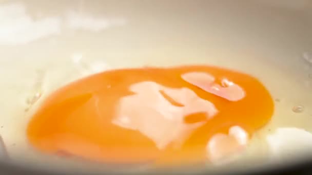 Falling Broken Egg Frying Pan Close Slow Motion Macro Shot — Stock Video