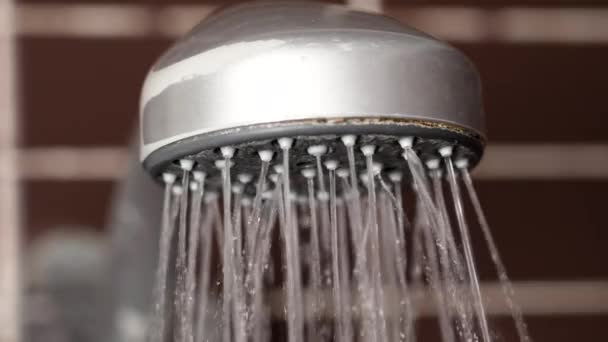 Plastikowa Głowica Prysznicowa Płytką Wapnia Płynącą Wodą Wymaga Naprawy — Wideo stockowe