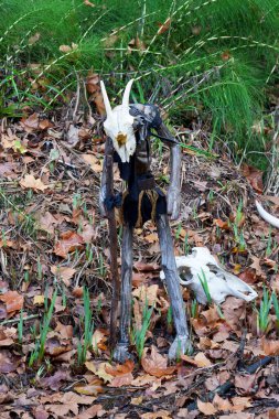 Cadılar Bayramı canavarı ve parkta inek kafatası.
