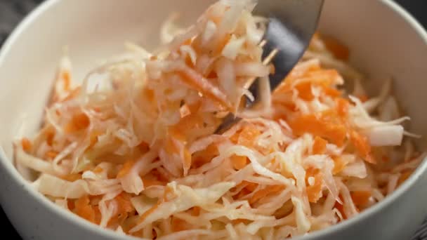 Proses Fermentasi Sauerkraut Dengan Kubis Putih Dan Bahan Wortel Tembakkan — Stok Video