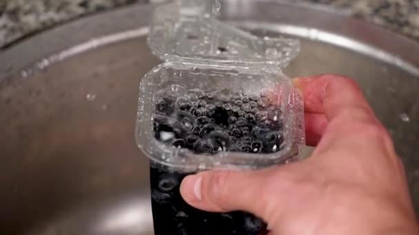 Evdeki Mutfak Lavabosundaki Süpermarkette Taze Yaban Mersinlerini Duruluyorum Çme Suyuyla — Stok video