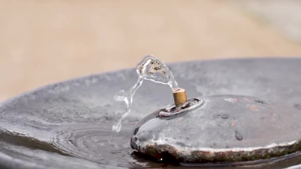 Rinnande Vatten Från Ren Dricksvattenkälla Med Ett Bronsmunstycke Utomhus Dagtid — Stockvideo