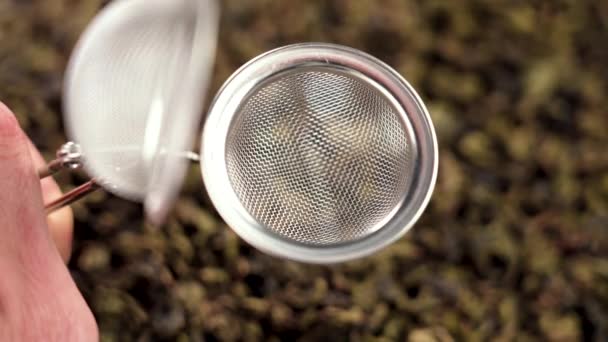 将落干的草本植物叶配上紧凑型钢水灌注器配制绿茶 亚洲食物及饮品仪式 — 图库视频影像