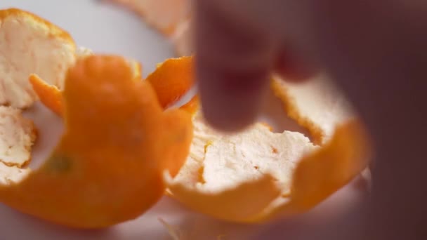 近くのゴミの分離を収集するためにオレンジの皮を取る手 — ストック動画