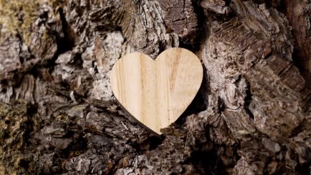 Wooden Heart Symbol Pine Tree Bark Environmental Conservation Concept — Stock Video