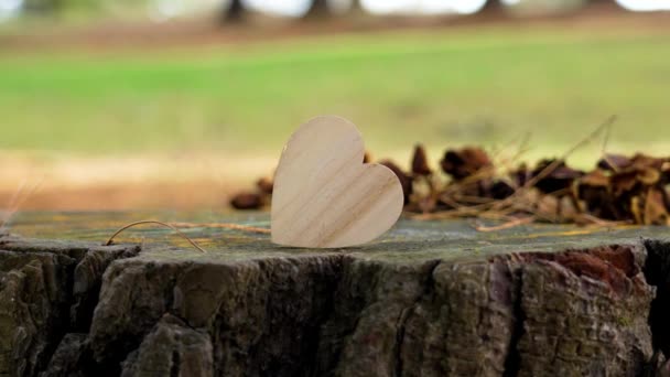 Drewniany Symbol Kształcie Serca Ściętym Pniu Drzewa Leśnej Polanie Koncepcja — Wideo stockowe