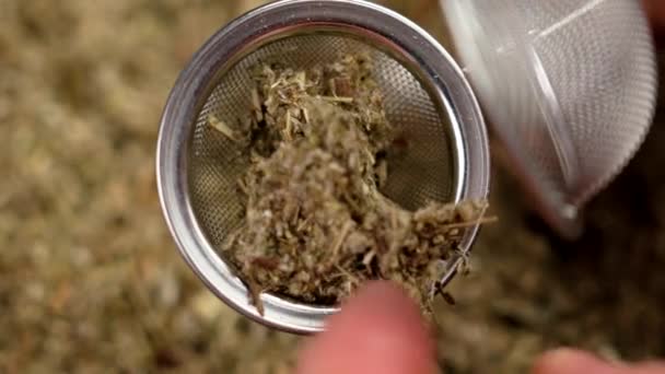 Preparing Brew Herbal Tea Placing Medicinal Dried Herbs Steel Infuser — Stock Video