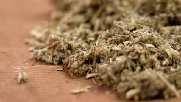 Dried Wormwood Medicinal Herbs Artemisia Vulgaris Rotation Mugwort Dry Plant — Stock Video