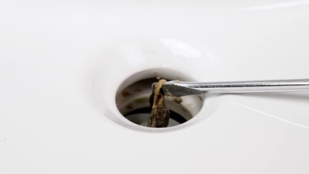 Pulling Out Stuck Hair Clogged Sink Removing Blockage Bathroom Drainage — Stock Video