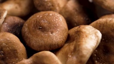 Kahverengi başlıklı çiğ Shiitake mantarı yığını. Döndürme