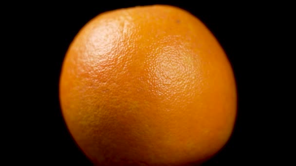 黒い背景にテクスチャーされた皮の表面が付いている新鮮なオレンジ色のフルーツは閉まります ローテーション — ストック動画