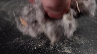 Elektrikli süpürgenin tozu ve saçı. Yakın çekim.