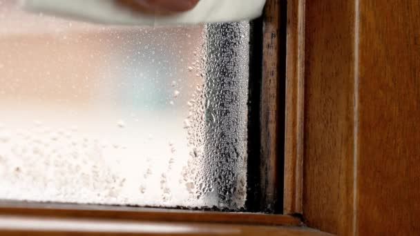 用抹布擦拭水的一只手从一个湿度高的公寓的窗户玻璃上擦拭水 房子里的潮湿问题 表面上的真菌 — 图库视频影像