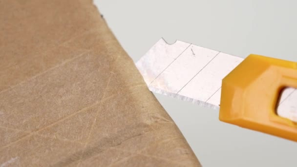Alet Bıçağıyla Karton Kutuları Açıyorum Çevrimiçi Sipariş Konseptinin Teslimi — Stok video