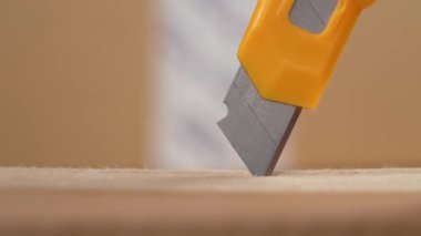 İnternetten sipariş edilen karton kutuları bıçak ile açıyorum. Kahverengi bir kağıt paketi kesiyorum. Ekspres ulaşım kavramı