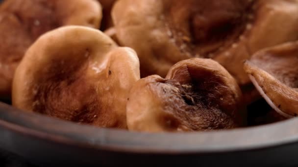그릇에 익지않는 시타케 버섯은 닫습니다 건강한 유기농 회전이요 Lentinula 에디션 — 비디오