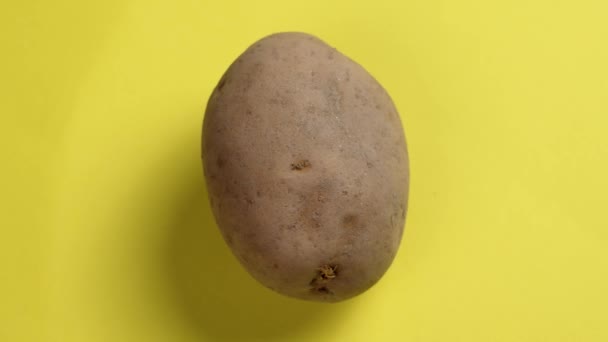 Single Hele Biologische Aardappel Een Felle Creatieve Achtergrond Eco Ingrediënten — Stockvideo