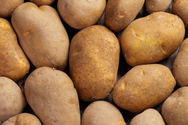 Taze toplanmış organik patatesler. Üst görünüm