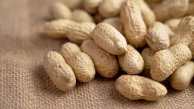 Kabuktaki organik fıstıklar kaba bir çuval bezi üzerine düşüyor. Soyulmamış kavrulmuş yerfıstığı. Ekolojik malzemeler. Yavaş çekim