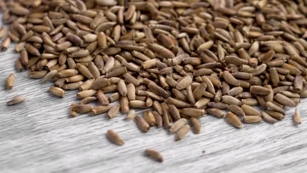 Сушеные Семена Расторопши Лекарственного Молока Альтернативный Ингредиент Травяной Медицины Текстурной — стоковое видео