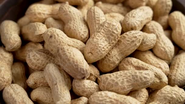 Bio Erdnüsse Auf Den Punkt Gebracht Ungeschälte Geröstete Ökologische Erdnüsse — Stockvideo