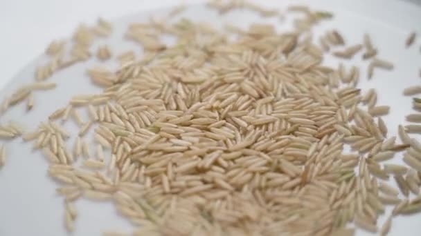 Beyaz Seramik Tabakta Pürüzsüz Beyaz Basmati Pirinci Yavaş Çekimde Hareketler — Stok video