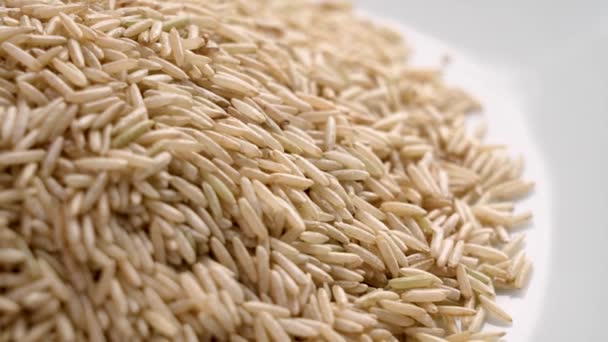 Wild Neleštěné Syrové Rýže Zrna Bílé Keramické Mísy Zblízka Ingredience — Stock video