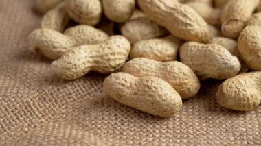 Kabukta kurumuş fıstık kabuğu ve kabuklu kumaş. Bütün yer fıstıkları. Döndürme