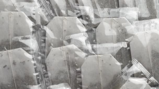 透明茶袋与草茶干叶紧密相连 — 图库视频影像